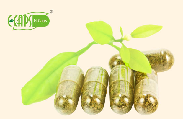 HPMC Capsules